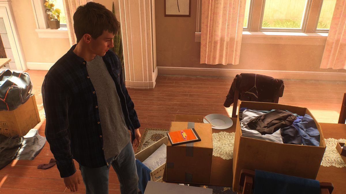 Peter Parker looks at a copy of the fictional video game Speed Nonagon in Spider-Man 2
